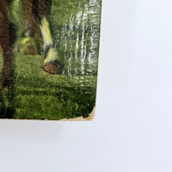 1909 Antique Postcard Live Stock Parade at South Dakota State Fair Huron SD - Picture 3 of 7